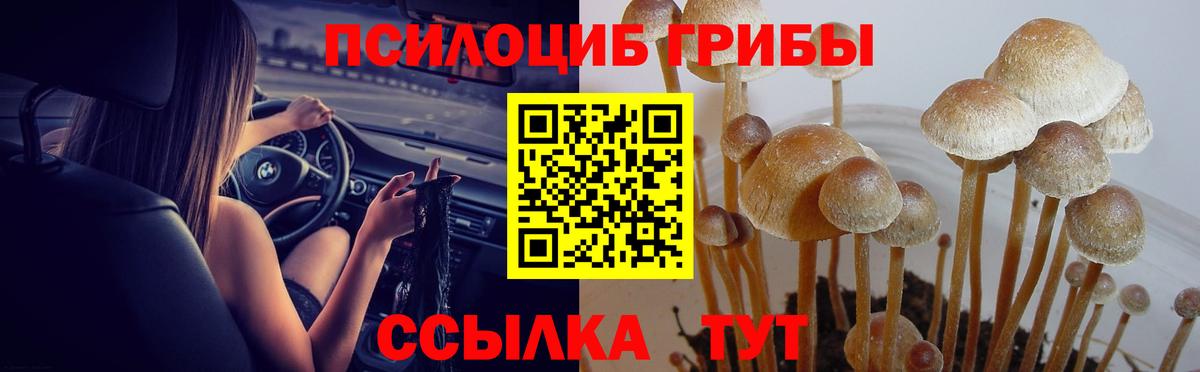 Энгельс  Галлюциногенные грибы ЛСД  Псилоцибиновые грибы ЛСД  Вход с VPN 